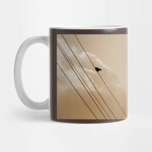 Pretty single bird on a wire, Blackbird silhouette photography Mug